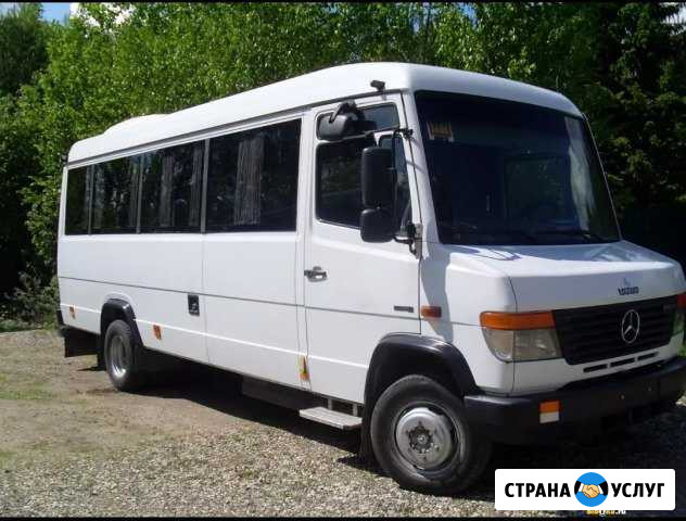 Развозка на каждый день Санкт-Петербург - изображение 1