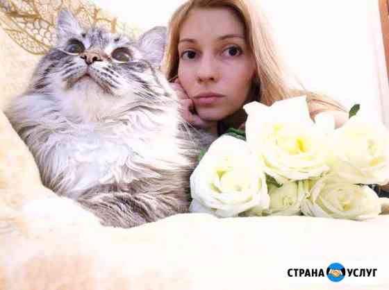 Домашняя передержка Казань