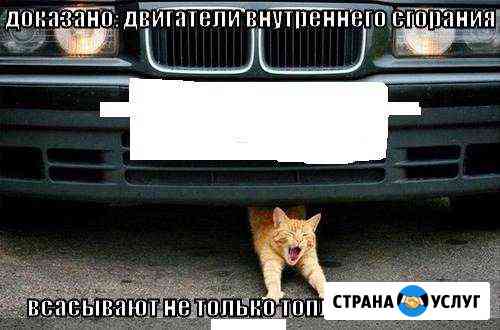 Ремонт двс и кпп Зеленодольск