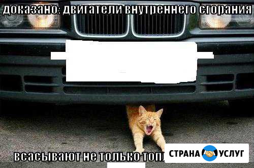 Ремонт двс и кпп Зеленодольск - изображение 1