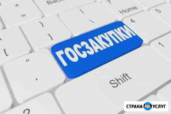 Аукционы и тендеры. Ведение электронных торгов Анапа