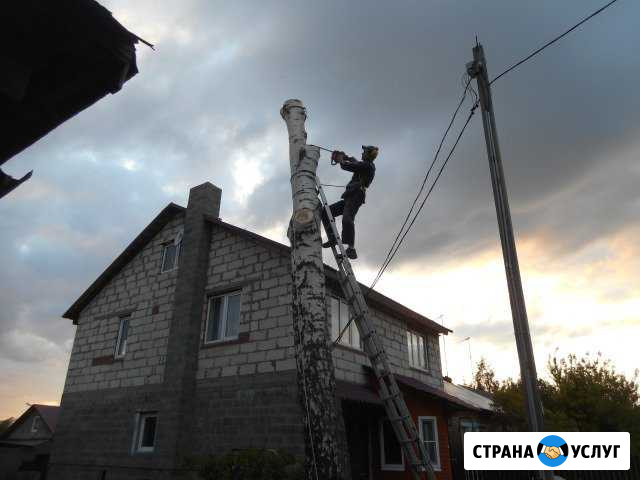 Обрезка и удаление деревьев в Коломне Коломна - изображение 1