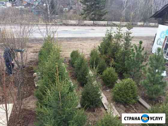 Ландшафтный дизайн Красноярск