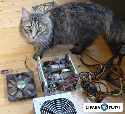 Быстрый ремонт и чистка пк, ноутбуков, нетбуков Старый Оскол - изображение 1