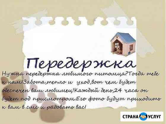 Передержка домашних животных Нижневартовск