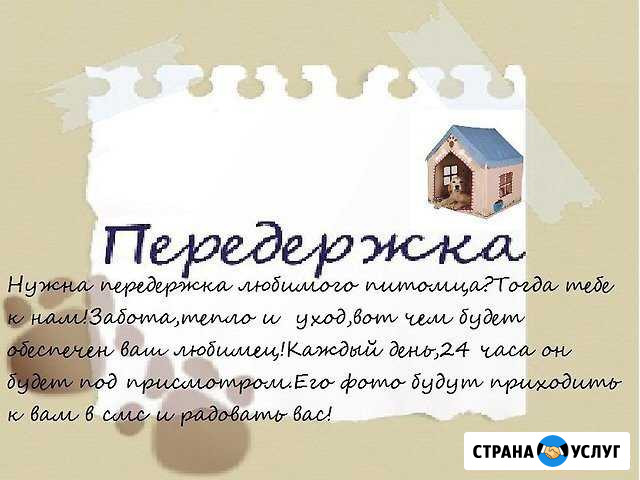 Передержка домашних животных Нижневартовск - изображение 1