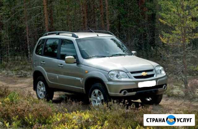 Аренда авто Екатеринбург - изображение 1