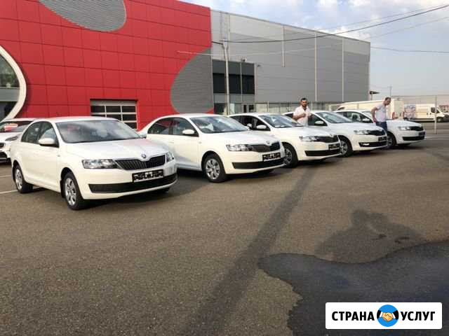 Skoda rapid Новая в Прокат посуточно Армавир - изображение 1