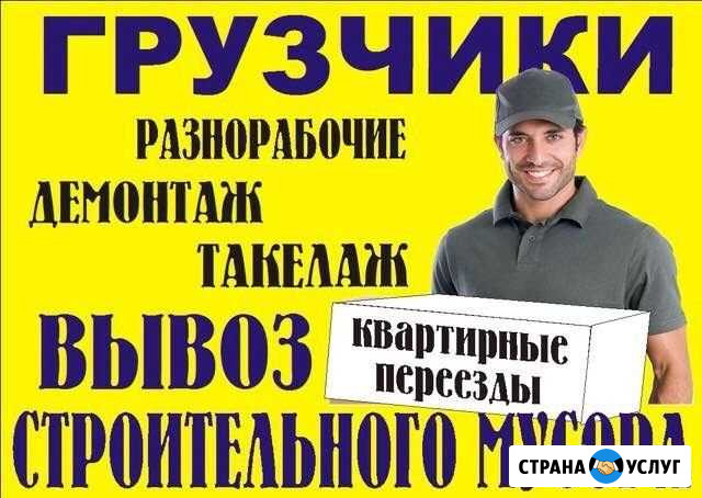 Грузчики Камышин - изображение 1