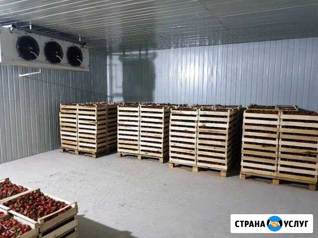 Овощехранилище, Фруктохранилище под ключ Теберда - изображение 1