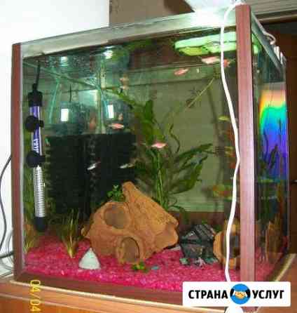Изготовление и ремонт аквариумов(по вашим размер) Высокое