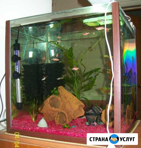 Изготовление и ремонт аквариумов(по вашим размер) Высокое - изображение 1
