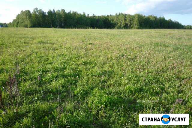 Покос травы, Спил деревьев Майкоп - изображение 1