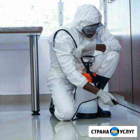 Уничтожение тараканов и клопов Барнаул