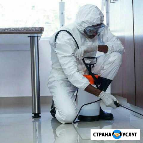 Уничтожение тараканов и клопов Барнаул - изображение 1