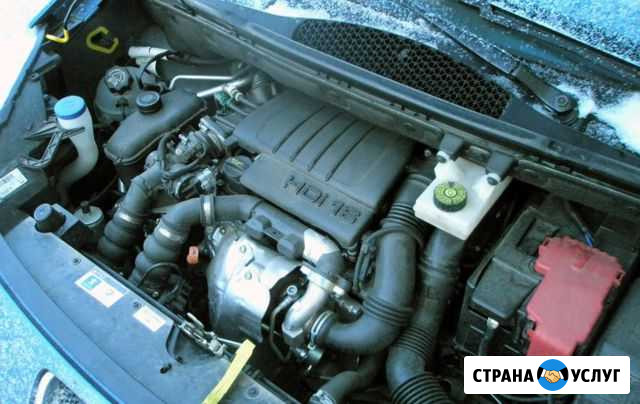 Француз пежо ситроен рено 1.5к9к 1.6 tdi- бензин Москва - изображение 1