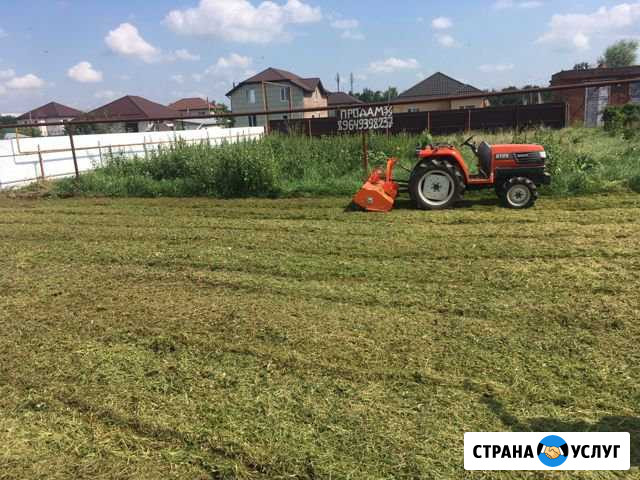 Уничтожение сорняка Мульчером Ильский - изображение 1