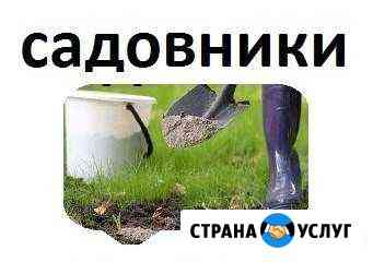 Услуги садовника Ростов-на-Дону