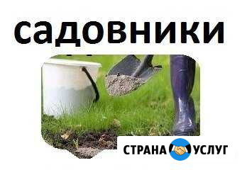 Услуги садовника Ростов-на-Дону - изображение 1
