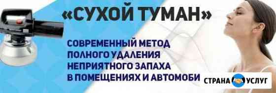 Сухой туман, удаление запахов в автомобиле и доме Дмитров