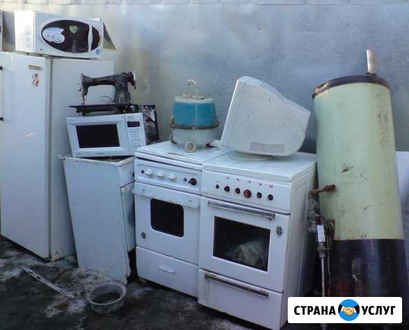 Бесплатный вывоз на утилизацию Егорьевск - изображение 1