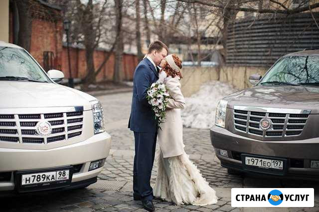 Аренда авто. Kadillak Escalade на свадьбу Санкт-Петербург - изображение 1