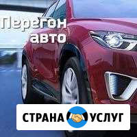 Перегон авто Краснодар - изображение 1