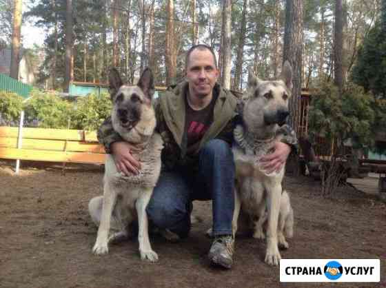 Дрессировка с передержкой + гостиница Малаховка