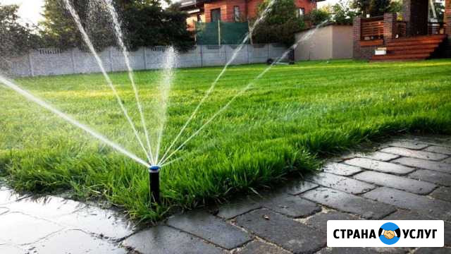 Озеленение и автоматический полив под ключ Назрань - изображение 1