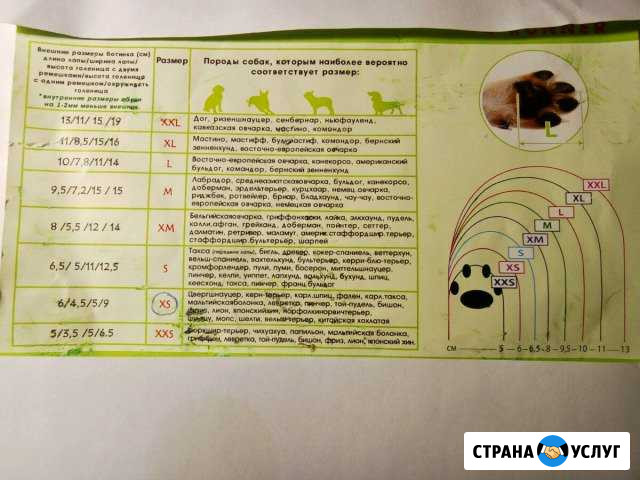 Пошив зимней обуви для собак Киров - изображение 1