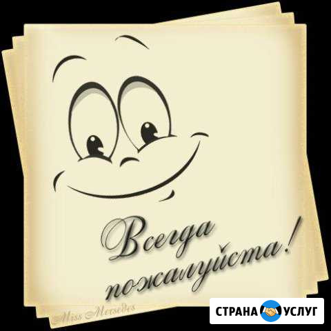 Авто-няня, сопровождающий Долгопрудный - изображение 1
