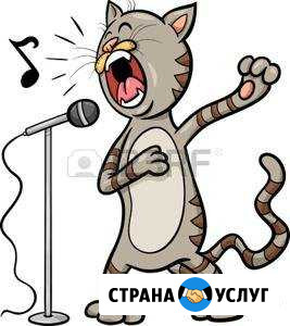 Репетитор по вокалу Рязань - изображение 1