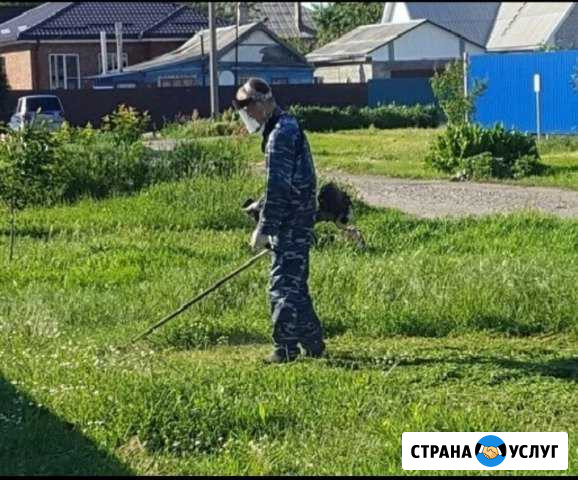 Покос травы,спил деревьев Тихорецк - изображение 1