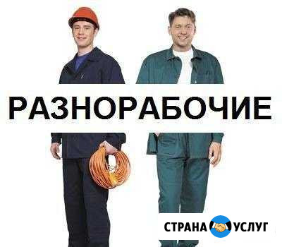 Разнорабочие Щербинка - изображение 1