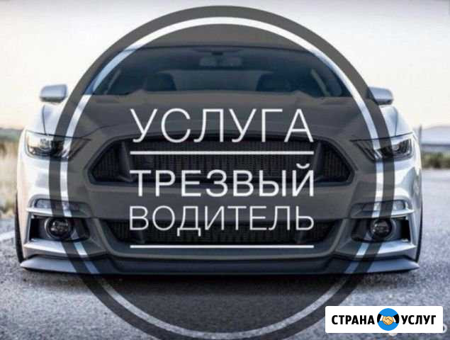 Трезвый водитель Калуга - изображение 1
