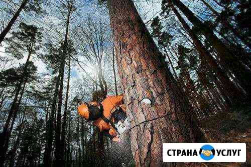 Спил деревьев Нижний Тагил
