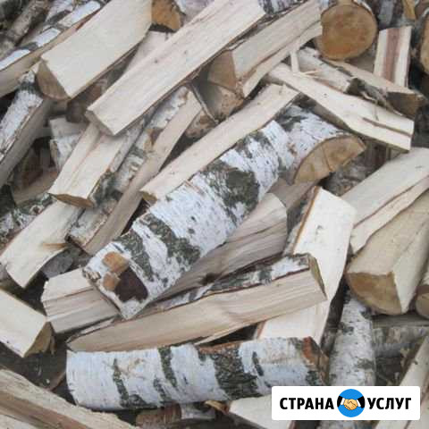 Дрова березовые колотые Янино-1 - изображение 1