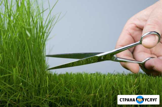 Покос травы, кустарника с выездом в район Череповец - изображение 1