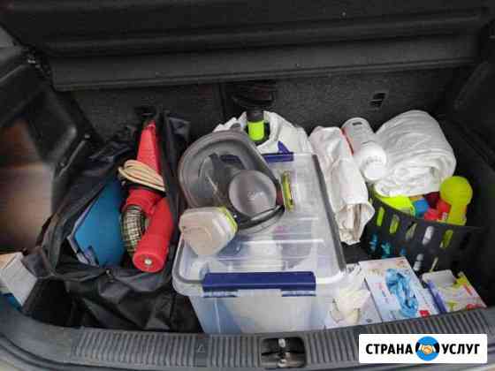 Уничтожение насекомых и грызунов в Ижевске Ижевск