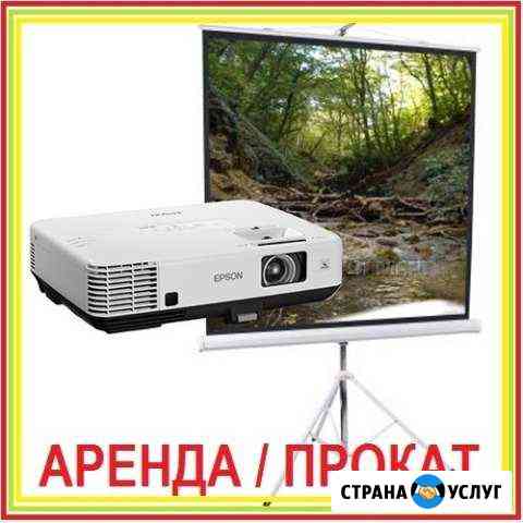 Аренда проектора с экраном, флипчарт, презентер Челябинск
