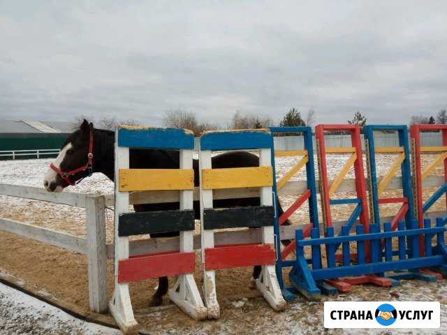 Обучение верховой езде. Конный спорт Икша - изображение 1