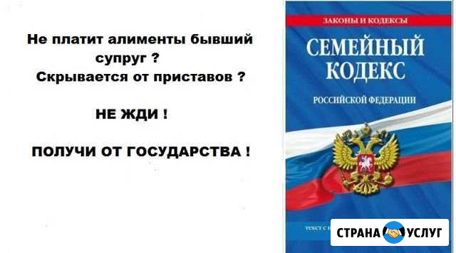 Взыскиваем алименты от государства Калининград - изображение 1