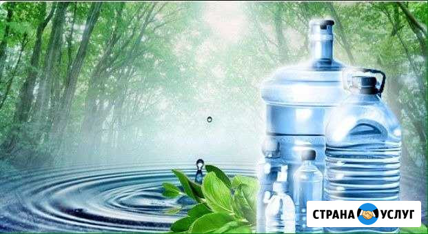 Доставка родниковой воды до квартиры Куровское - изображение 1