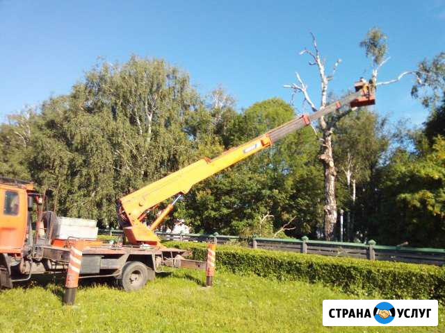 Спил, обрезка деревьев, расчистка участков Кораблино - изображение 1