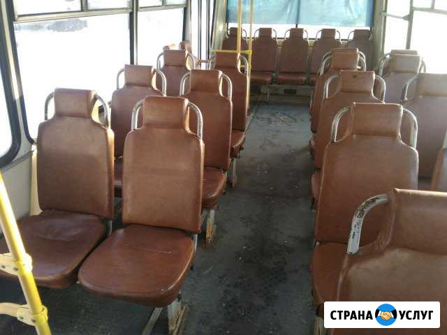 Пассажирские перевозки автобус паз Воронеж - изображение 1