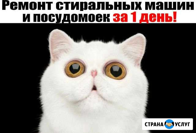 Ремонт стиральных машин Барнаул - изображение 1
