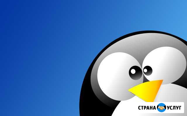 Надоела Windows - Поставь Linux Тольятти - изображение 1