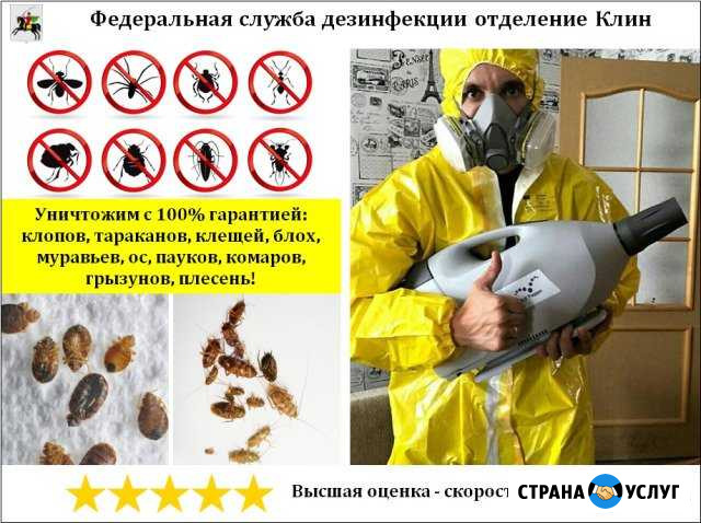 Уничтожение клопов, тараканов, клещей, насекомых Клин - изображение 1