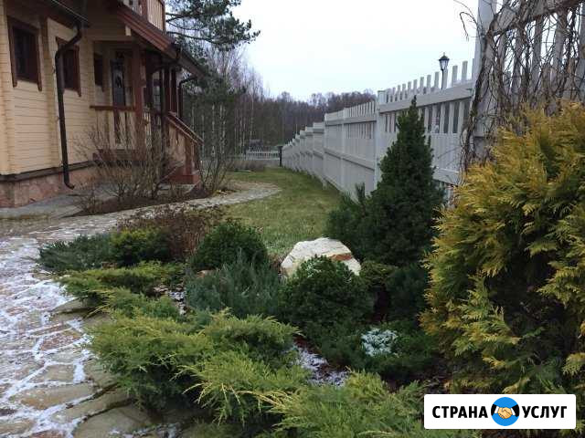 Ландшафтные работы Сосновый Бор - изображение 1