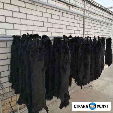 Выделка шкур Гулькевичи